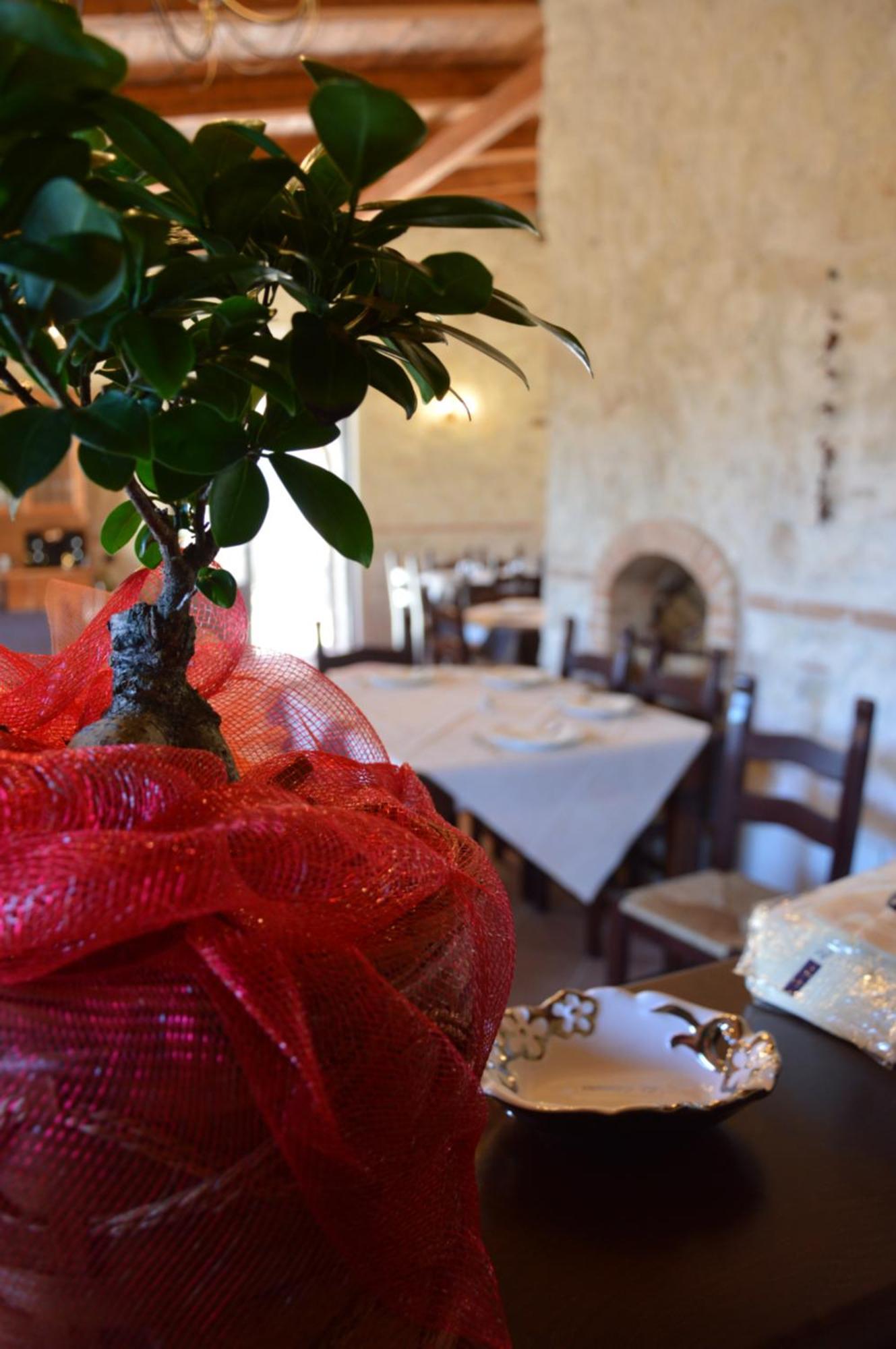 Borgo Carida - Green Family Holidays Zaccanopoli Dış mekan fotoğraf