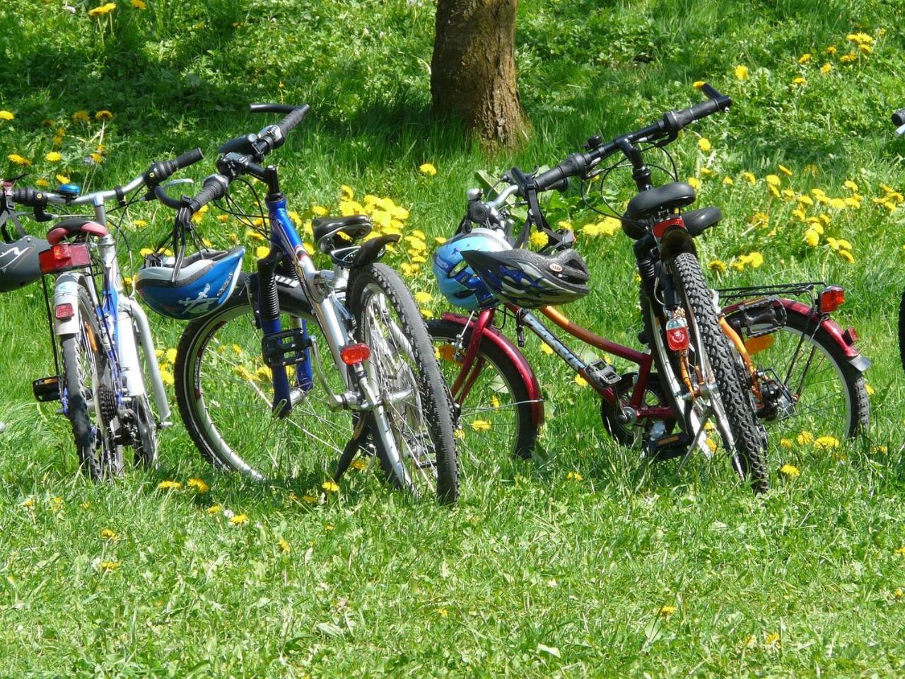 Borgo Carida - Green Family Holidays Zaccanopoli Dış mekan fotoğraf